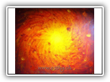 Feelings 77x64cm