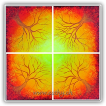 Tree Mandala3 4 x 50x50cm413309