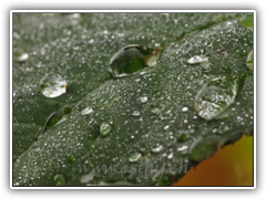 D30_3469