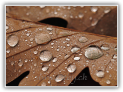D30_3501