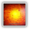 Feelings Sunvertebra 77x64cm 87209