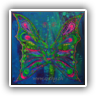 Nightwings 80x80cm 47902 