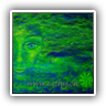 Thalassa (Oceania) 80x130cm 816904