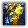 The Raven 100x80cm sunlighted NFS