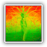 Tree-Wedding 80x50cm 77705
