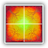 Tree Mandala3 4 x 50x50cm413309
